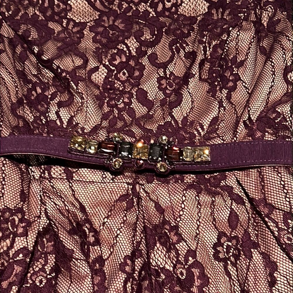 Eliza J. Lace Plum Cocktail Dress Size 6‎ D41 - Picture 6 of 13